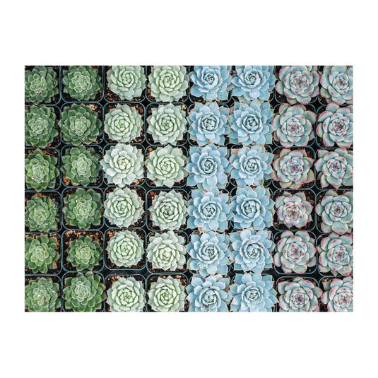 Succulent Garden Double-Sided 500 Piece Jigsaw Puzzle by Galison