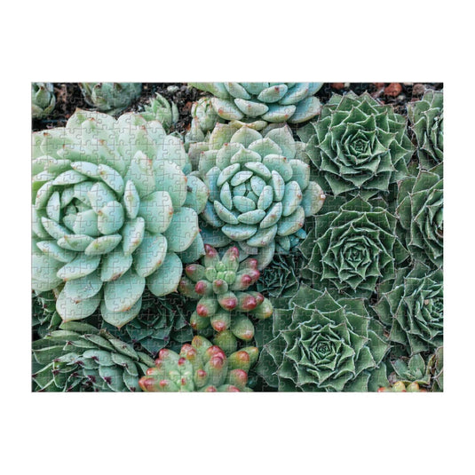 Succulent Garden Double-Sided 500 Piece Jigsaw Puzzle by Galison